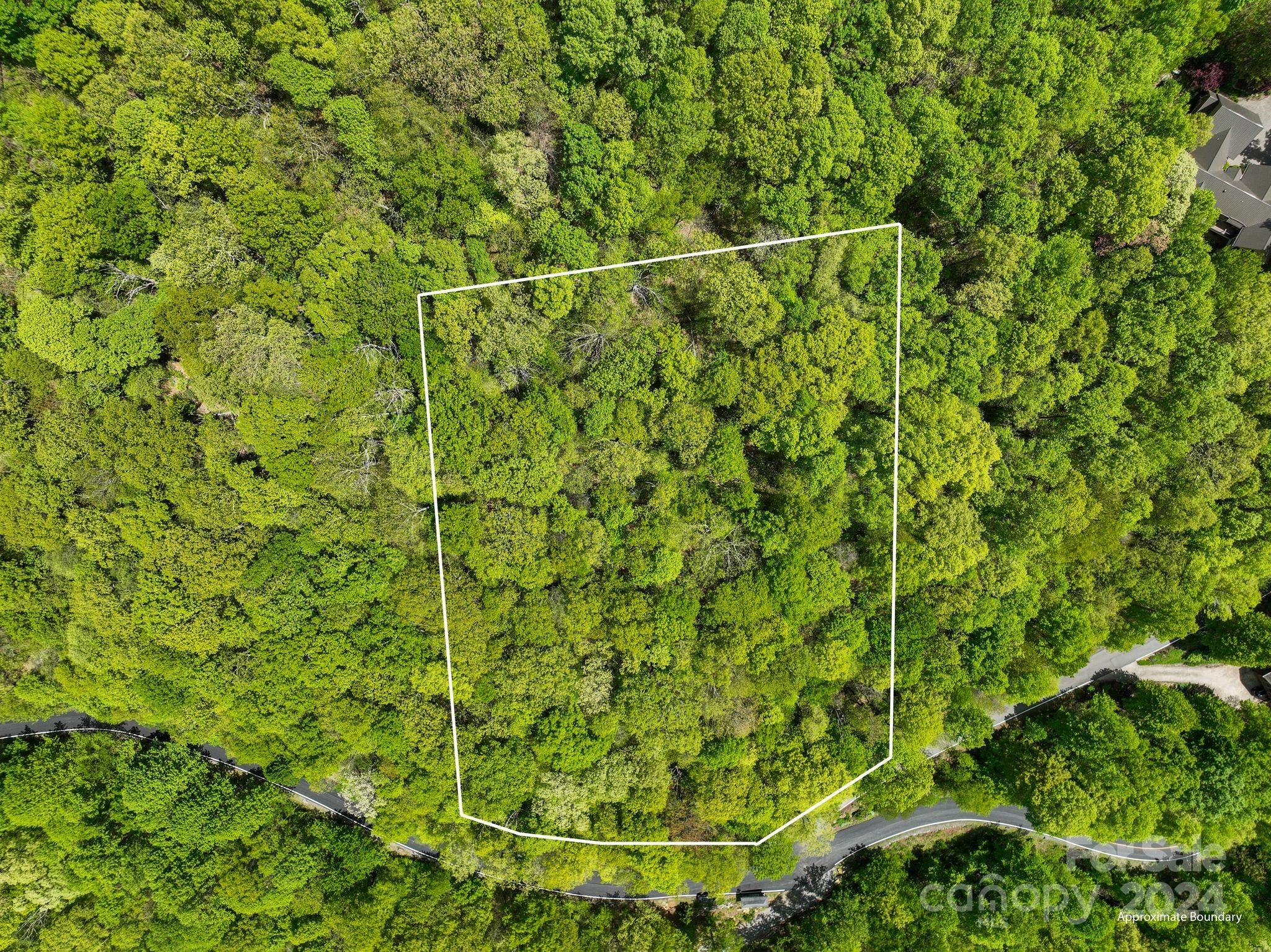 99999 Winding Poplar Road Black Mountain NC 28711