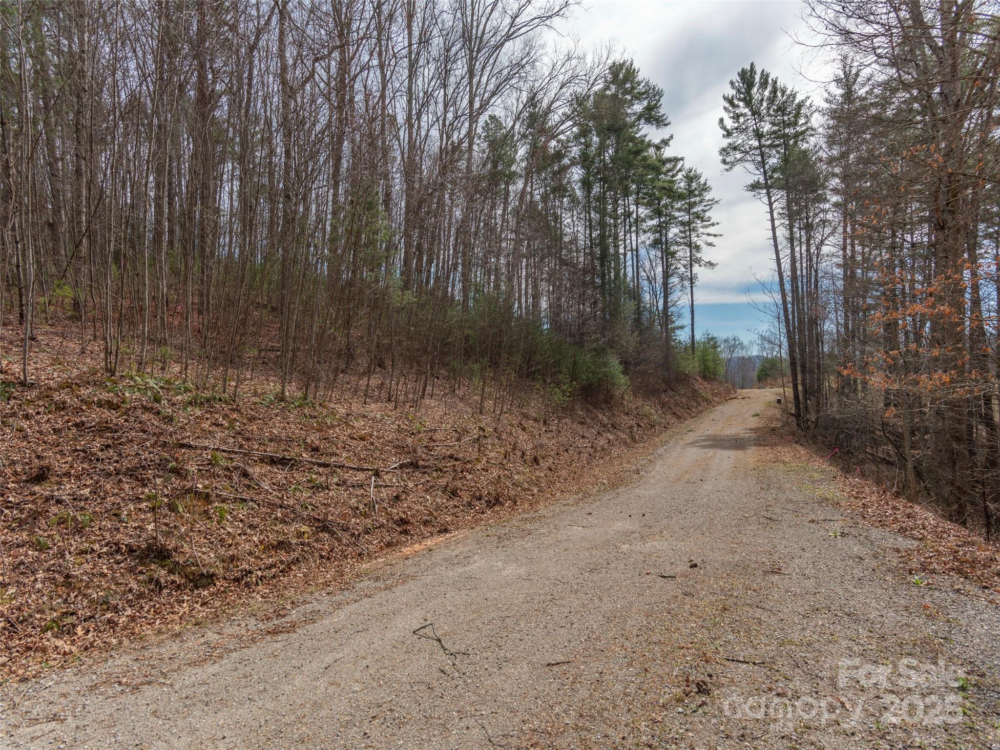 00 Wildlife Drive Clyde NC 28721