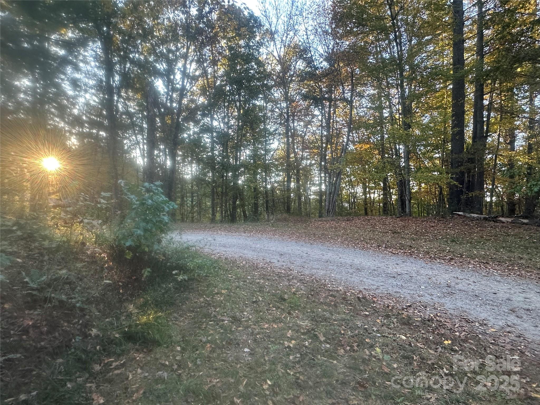 00 Wildlife Drive Clyde NC 28721