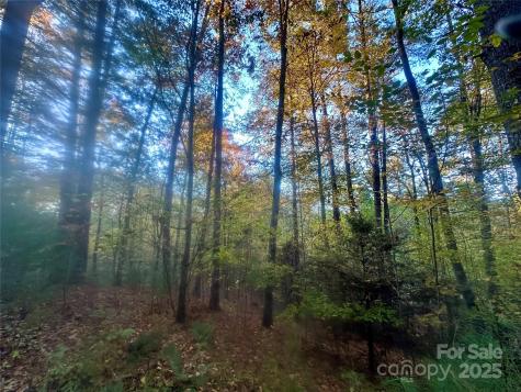 00 Wildlife Drive Clyde NC 28721
