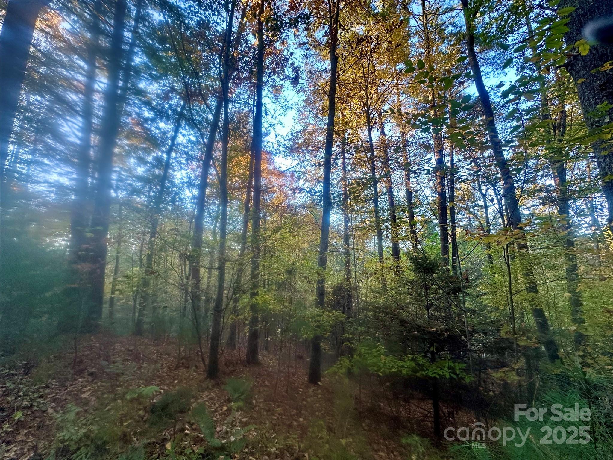 00 Wildlife Drive Clyde NC 28721