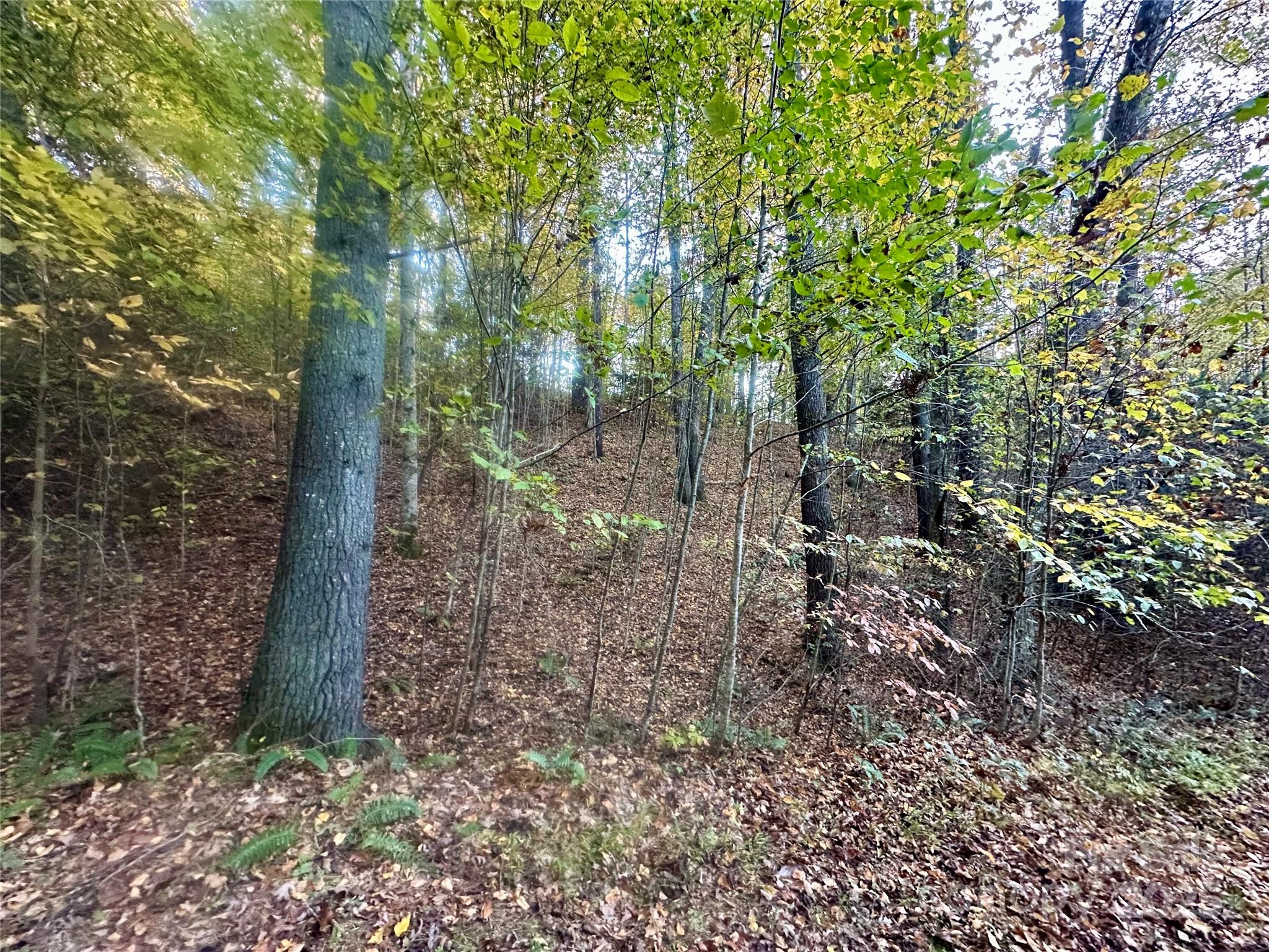 00 Wildlife Drive Clyde NC 28721