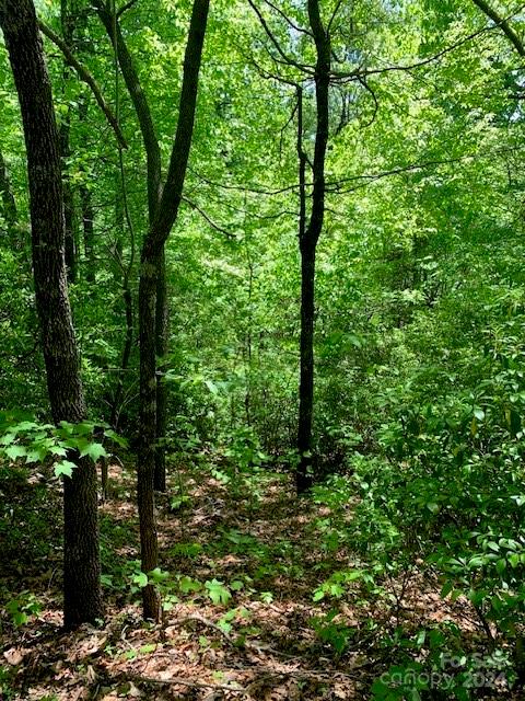 Lot 742 Rhododendron Drive Old Fort NC 28762