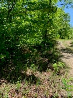 Lot 742 Rhododendron Drive Old Fort NC 28762