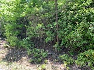 Lot 742 Rhododendron Drive Old Fort NC 28762