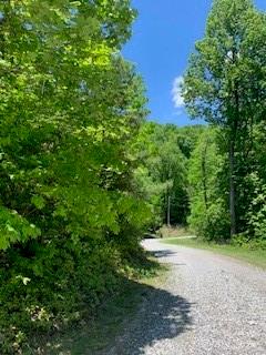 Lot 742 Rhododendron Drive Old Fort NC 28762