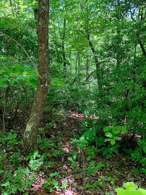 Lot 742 Rhododendron Drive Old Fort NC 28762