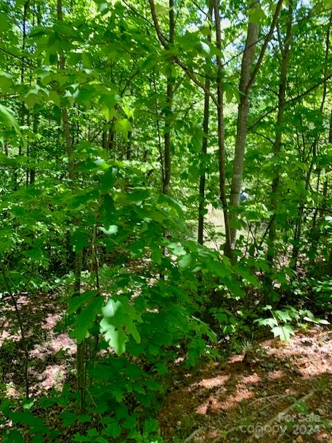 Lot 742 Rhododendron Drive Old Fort NC 28762