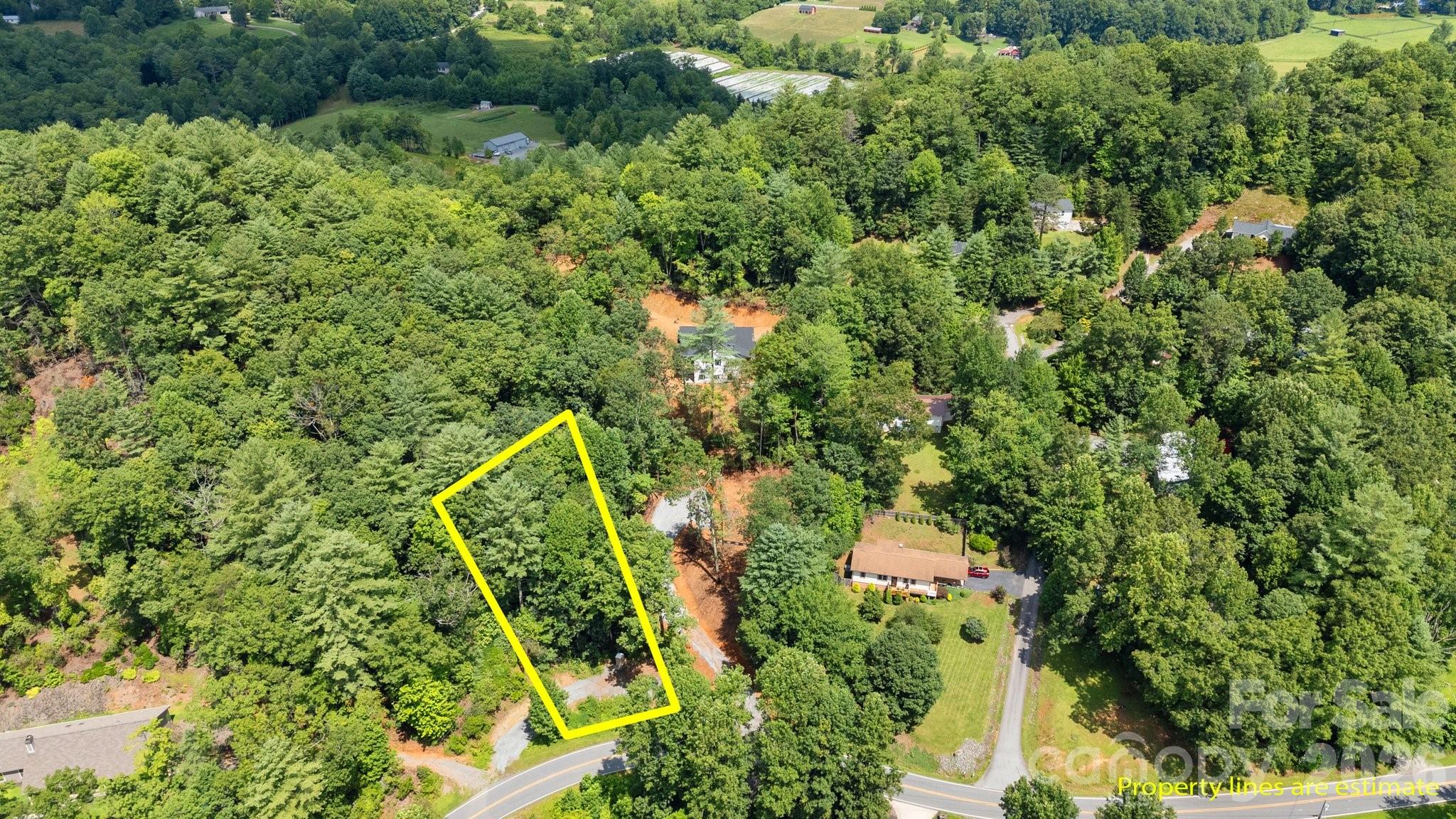 0 Turnpike Road Horse Shoe NC 28742