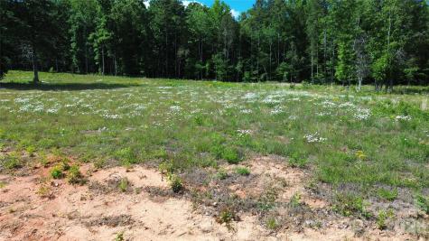 246 Elderberry Lane Lexington NC 27292