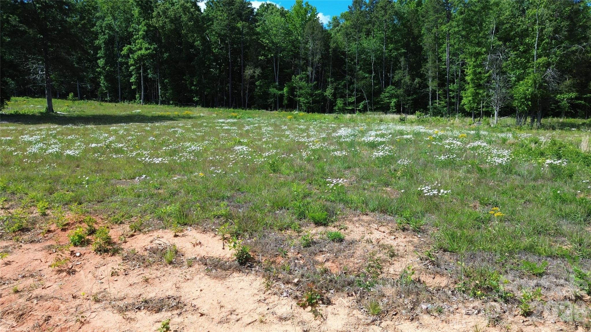246 Elderberry Lane Lexington NC 27292