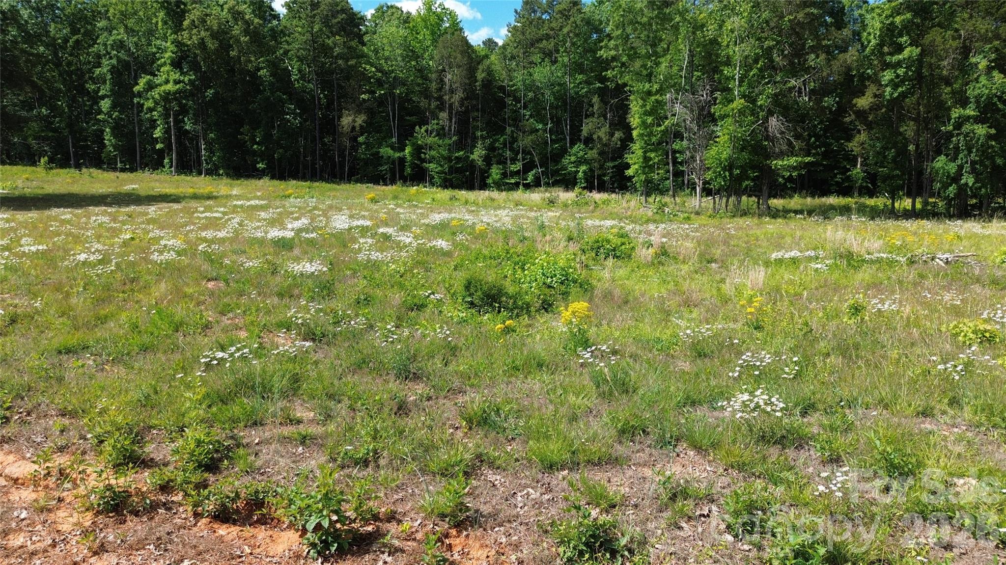 246 Elderberry Lane Lexington NC 27292
