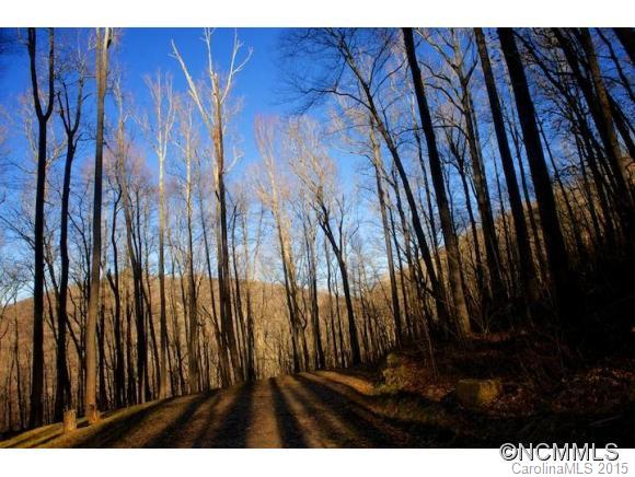 58 Castanea Mountain Drive Asheville NC 28803