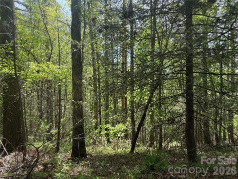 242 Area Radford Road Mars Hill NC 28754
