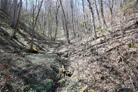 000 Big Laurel Road Waynesville NC 28785