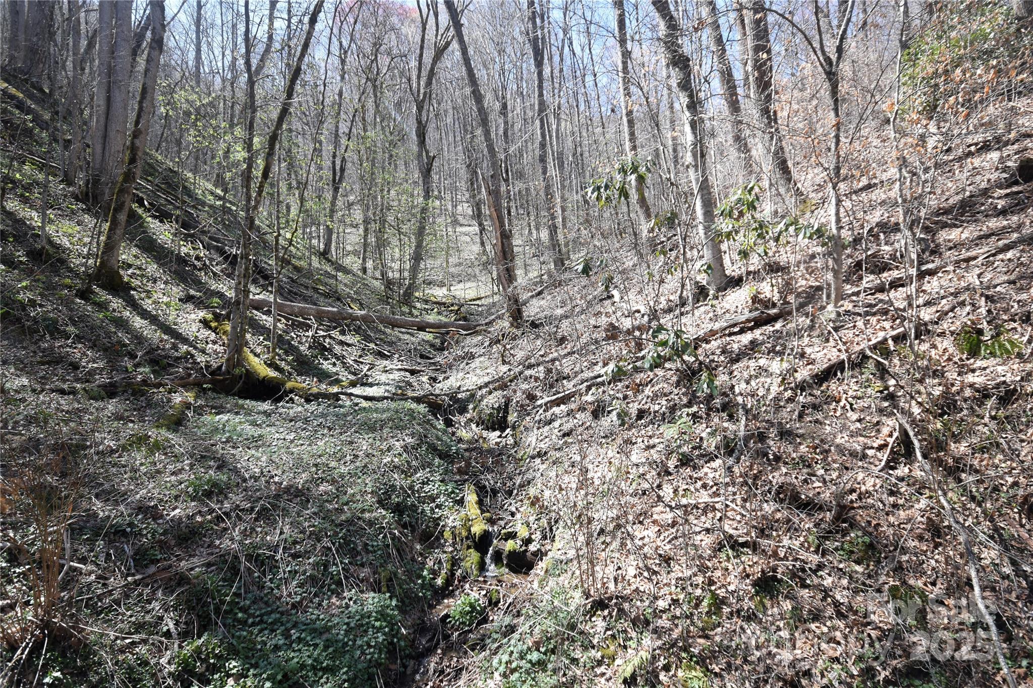000 Big Laurel Road Waynesville NC 28785