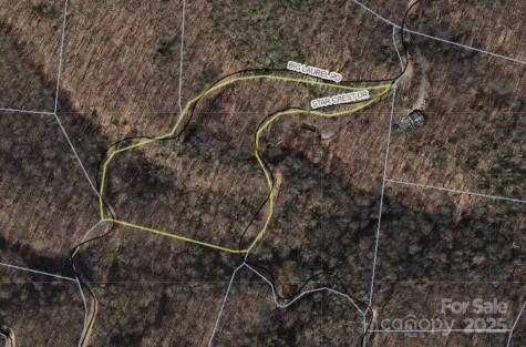 000 Big Laurel Road Waynesville NC 28785