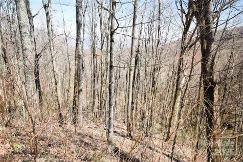 000 Big Laurel Road Waynesville NC 28785