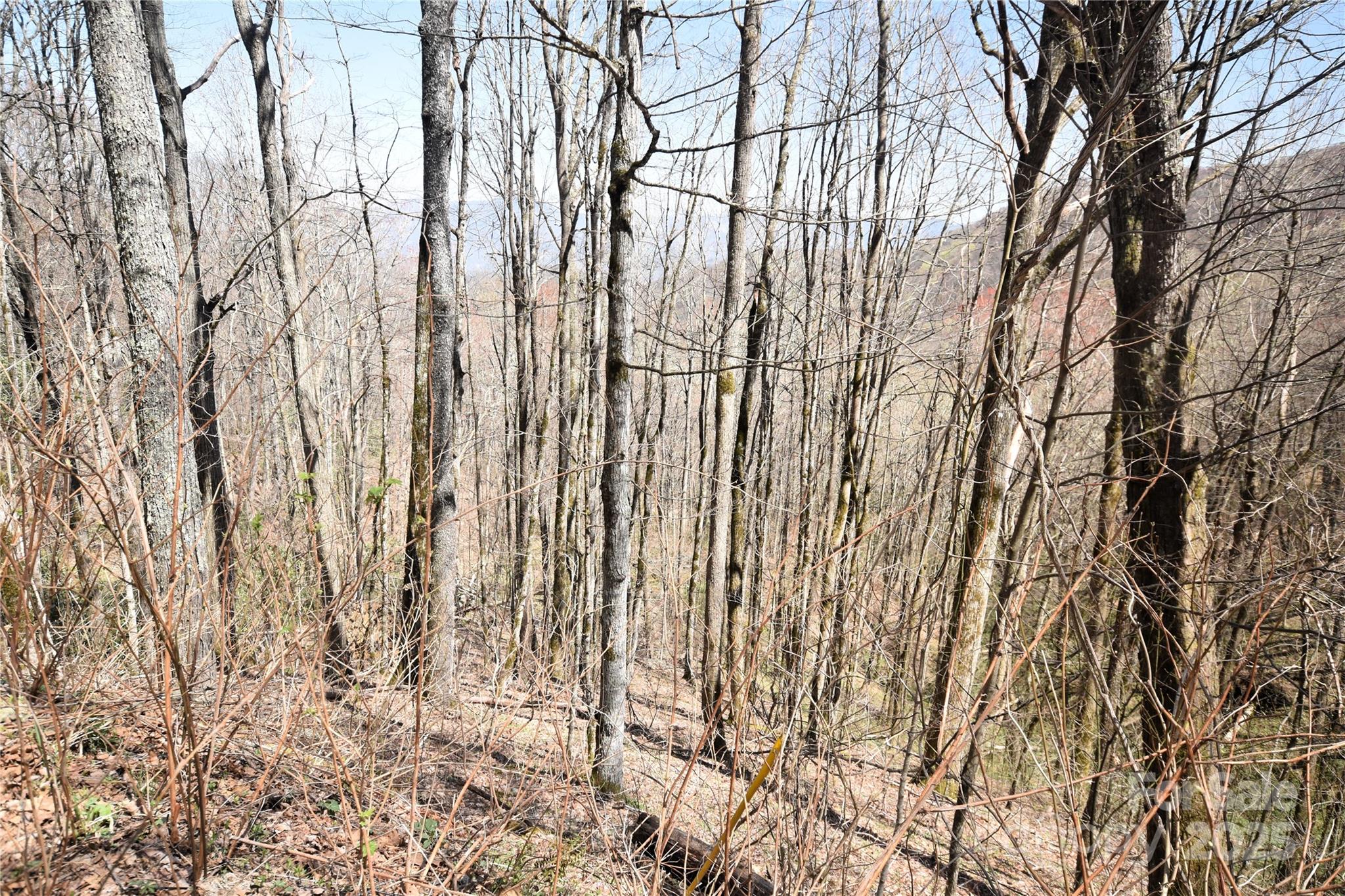 000 Big Laurel Road Waynesville NC 28785