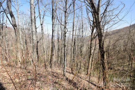 000 Big Laurel Road Waynesville NC 28785