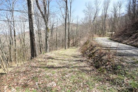 000 Big Laurel Road Waynesville NC 28785