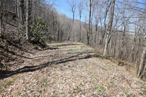 000 Big Laurel Road Waynesville NC 28785