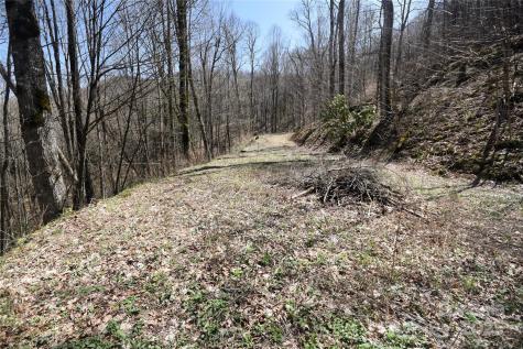 000 Big Laurel Road Waynesville NC 28785