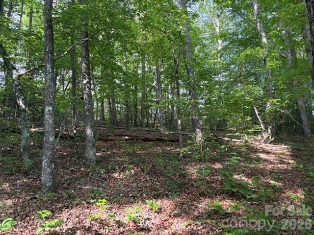 000 Gettys Road Ellenboro NC 28040