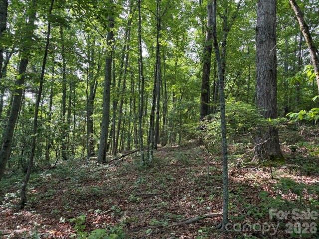 000 Gettys Road Ellenboro NC 28040