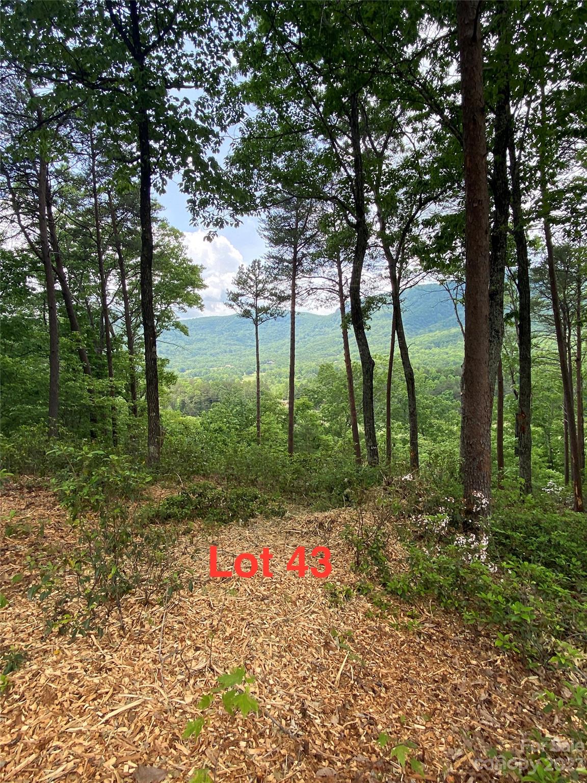 Lot 43 Deep Gap Farm Road E Mill Spring NC 28756