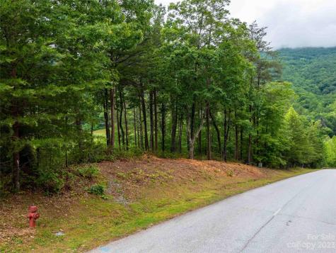 Lot 43 Deep Gap Farm Road E Mill Spring NC 28756