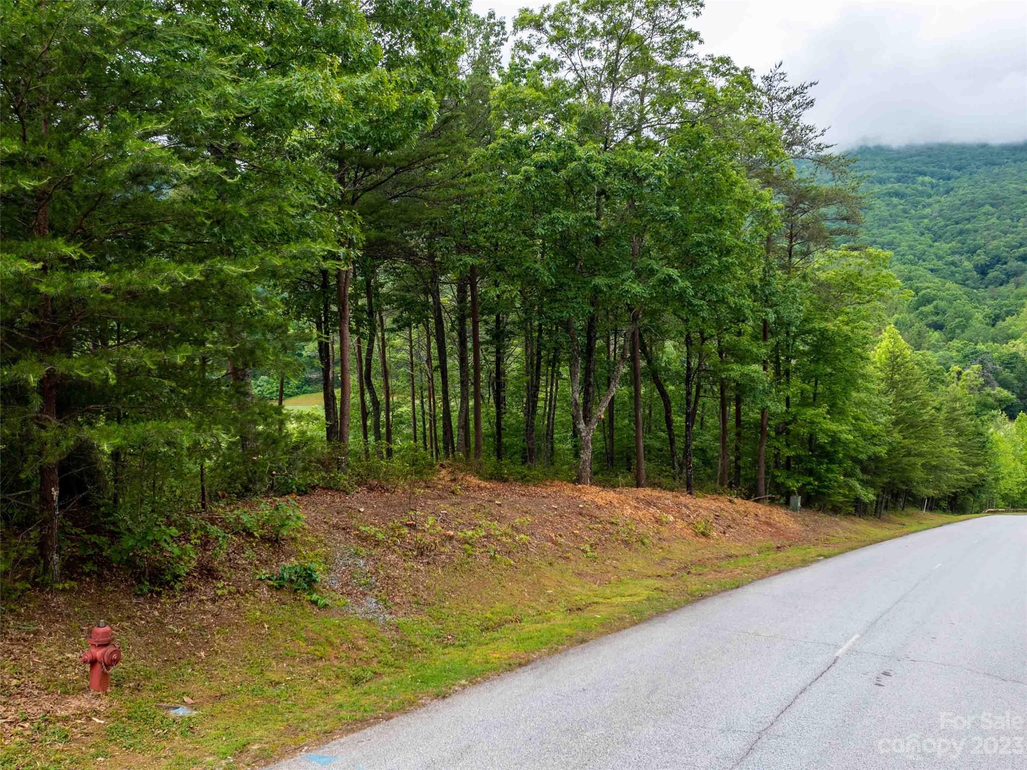 Lot 43 Deep Gap Farm Road E Mill Spring NC 28756