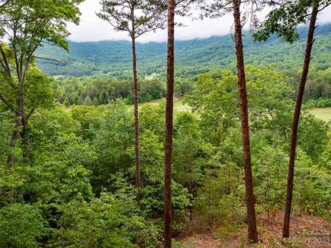 Lot 43 Deep Gap Farm Road E Mill Spring NC 28756