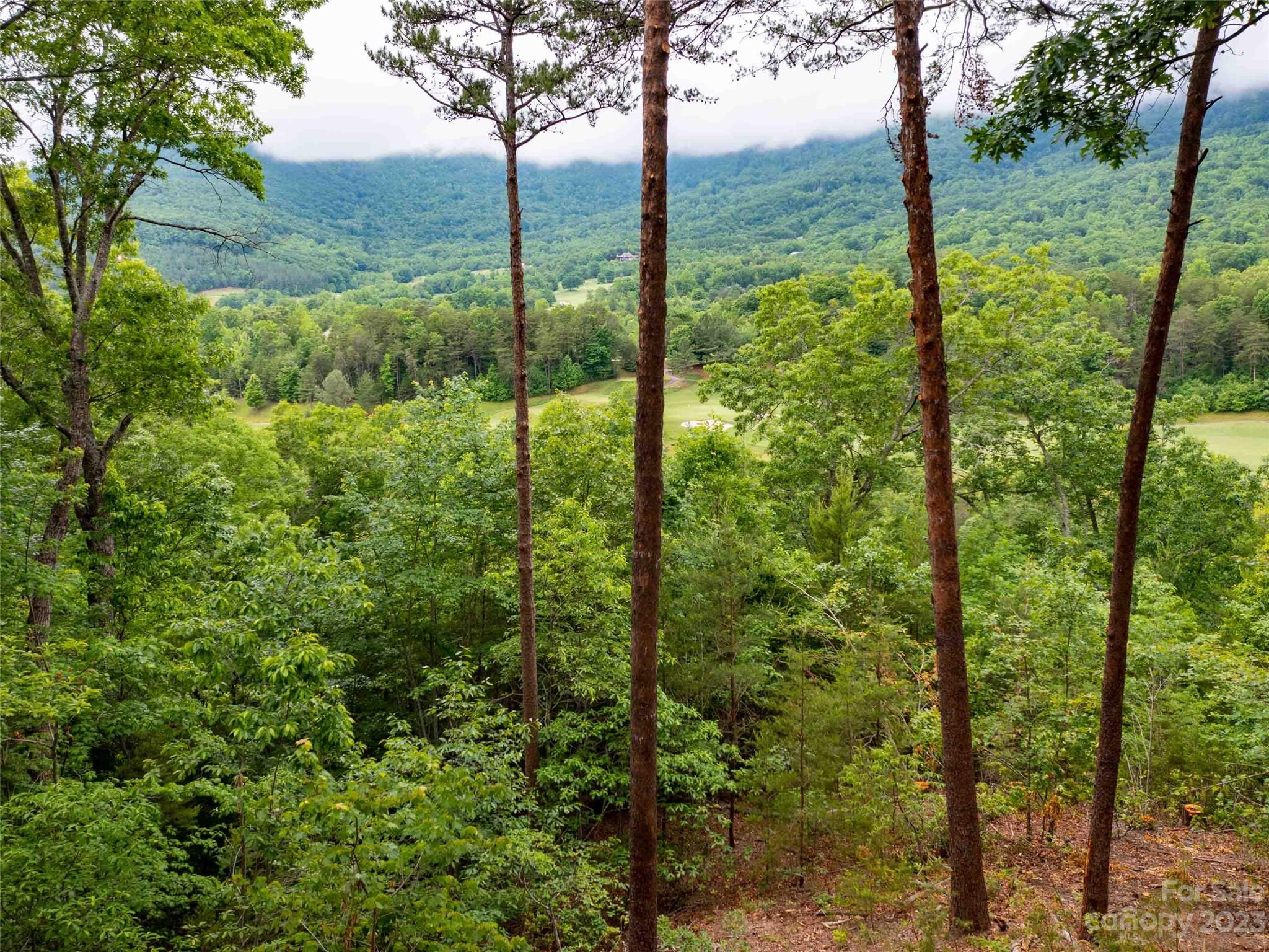 Lot 43 Deep Gap Farm Road E Mill Spring NC 28756