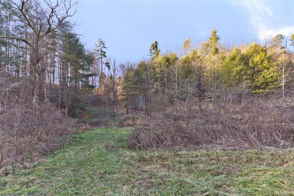 68 Brown Branch Road Weaverville NC 28787