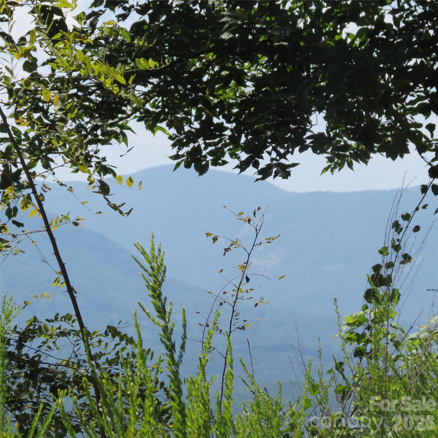 336 Willow Top Lane Lake Lure NC 28746