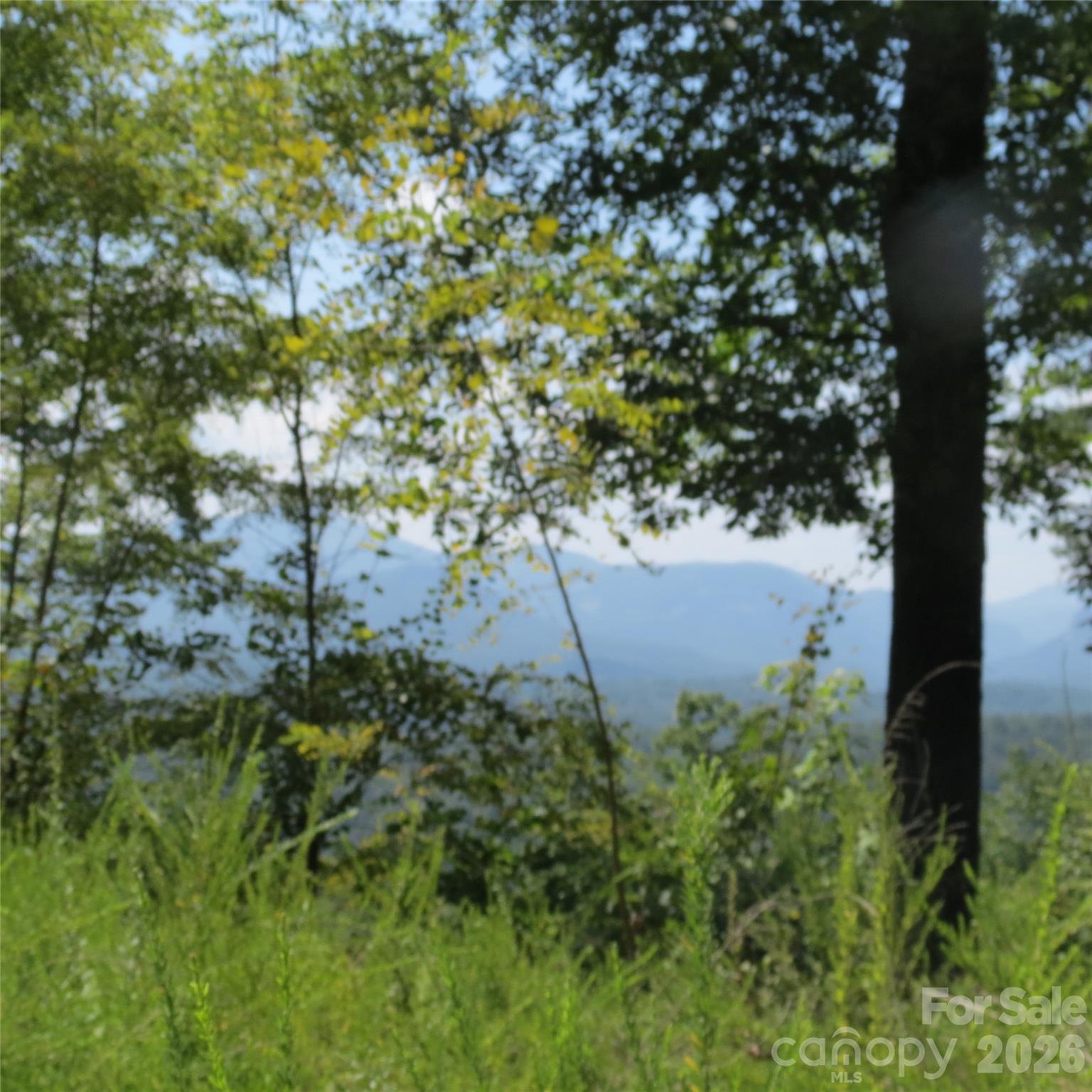 336 Willow Top Lane Lake Lure NC 28746