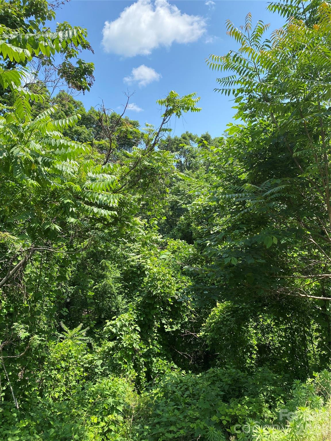 336 Willow Top Lane Lake Lure NC 28746