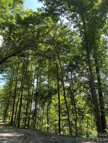 336 Willow Top Lane Lake Lure NC 28746