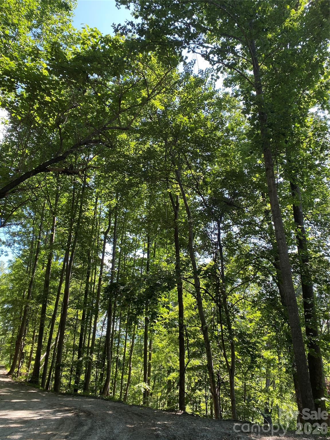 336 Willow Top Lane Lake Lure NC 28746