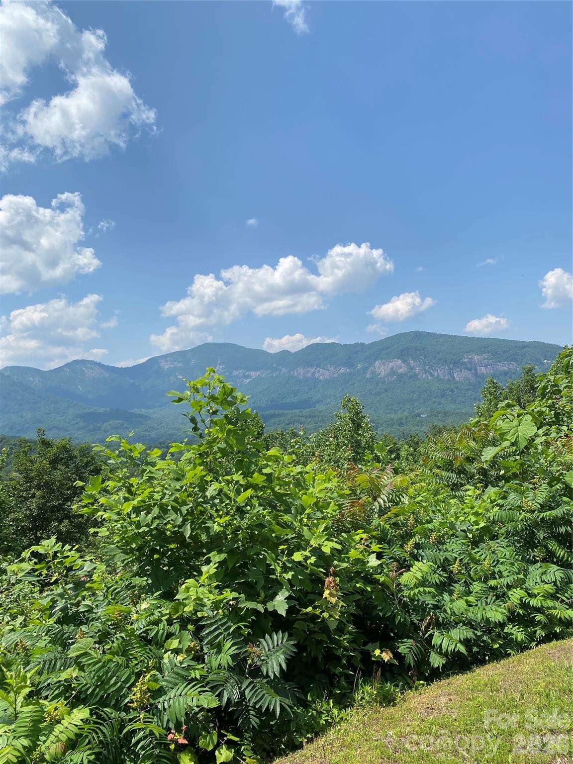 336 Willow Top Lane Lake Lure NC 28746