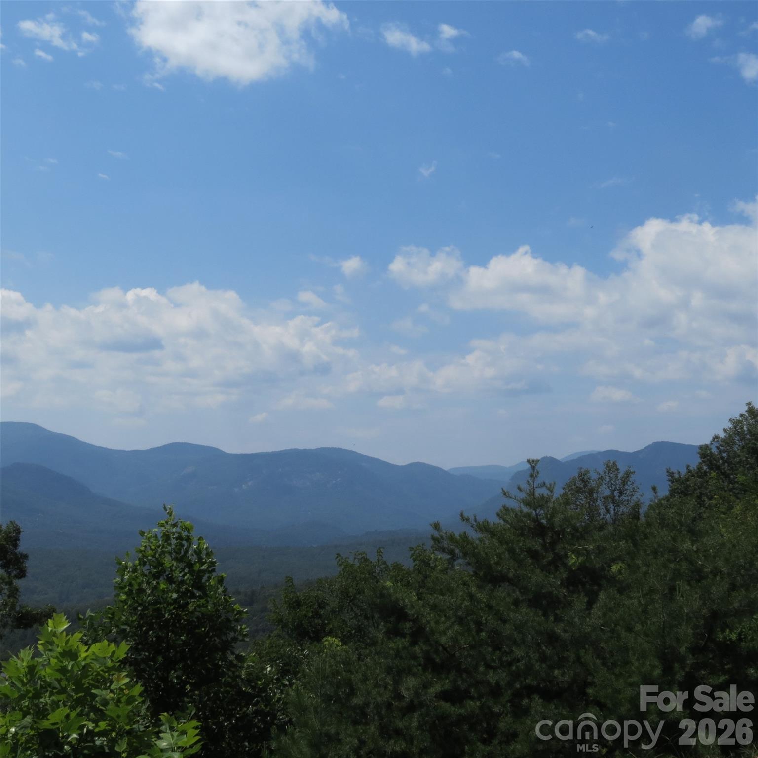 336 Willow Top Lane Lake Lure NC 28746