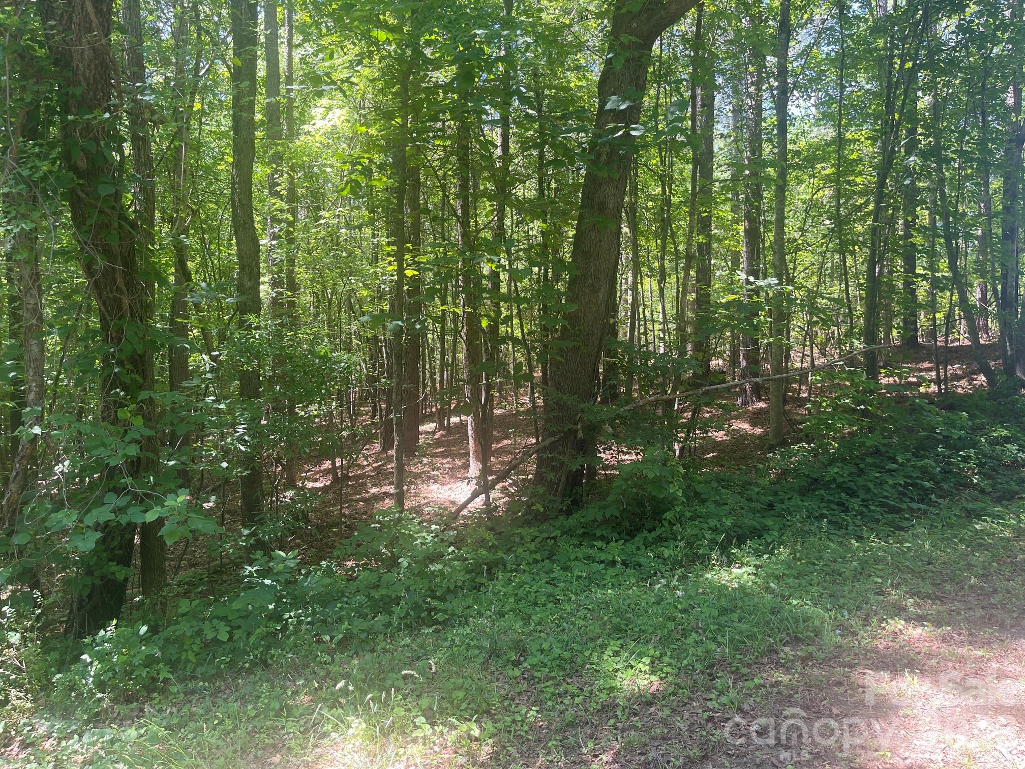 0 Locust Lane New London NC 28127