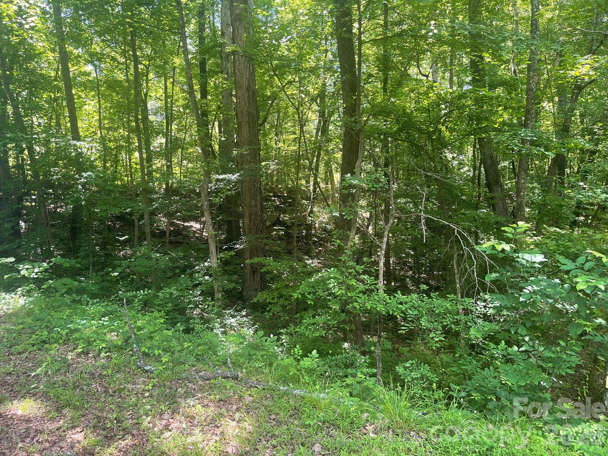 0 Locust Lane New London NC 28127
