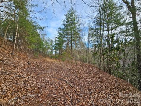 00 Wispy Willow Drive Waynesville NC 28785