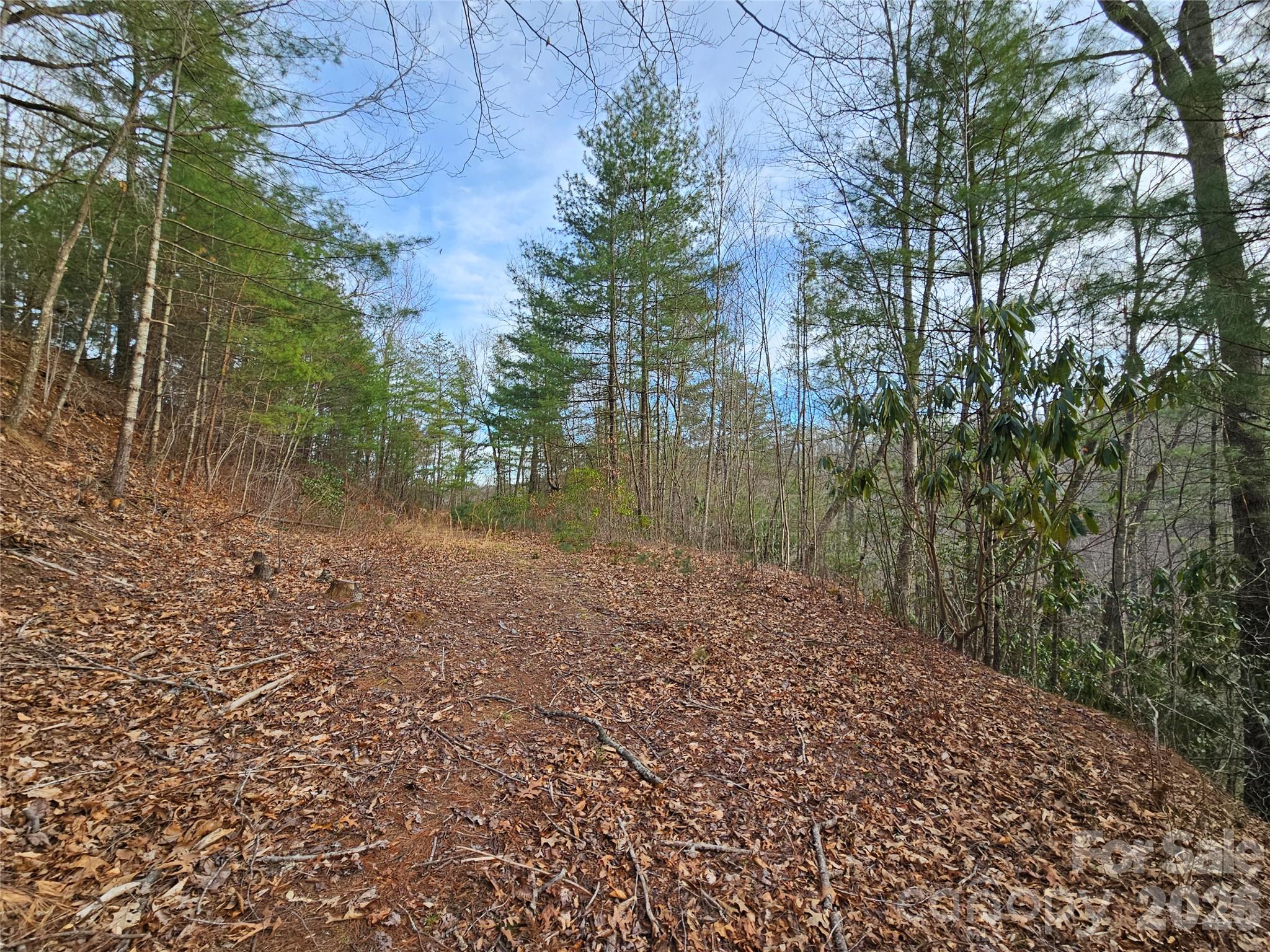 00 Wispy Willow Drive Waynesville NC 28785