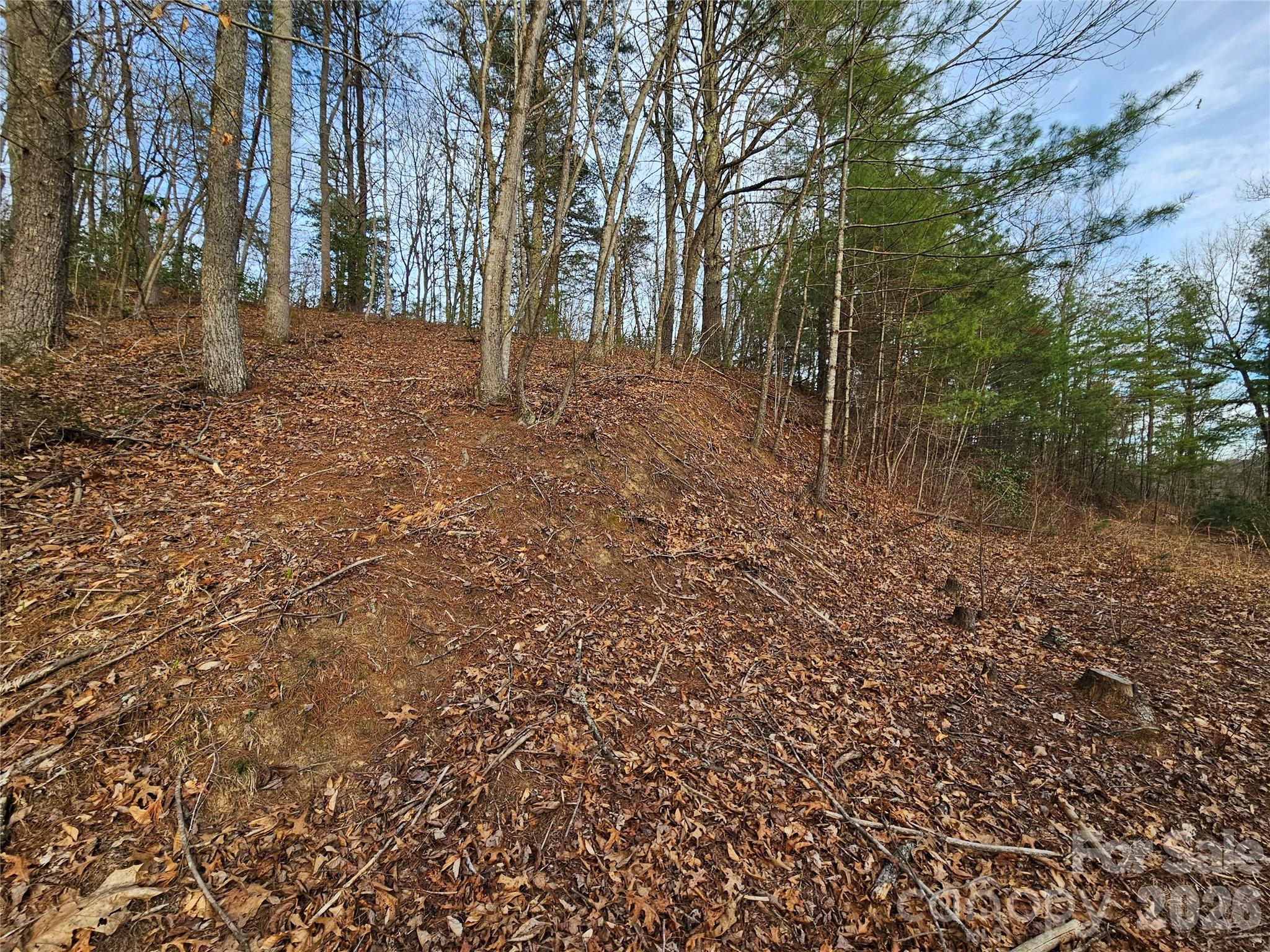 00 Wispy Willow Drive Waynesville NC 28785
