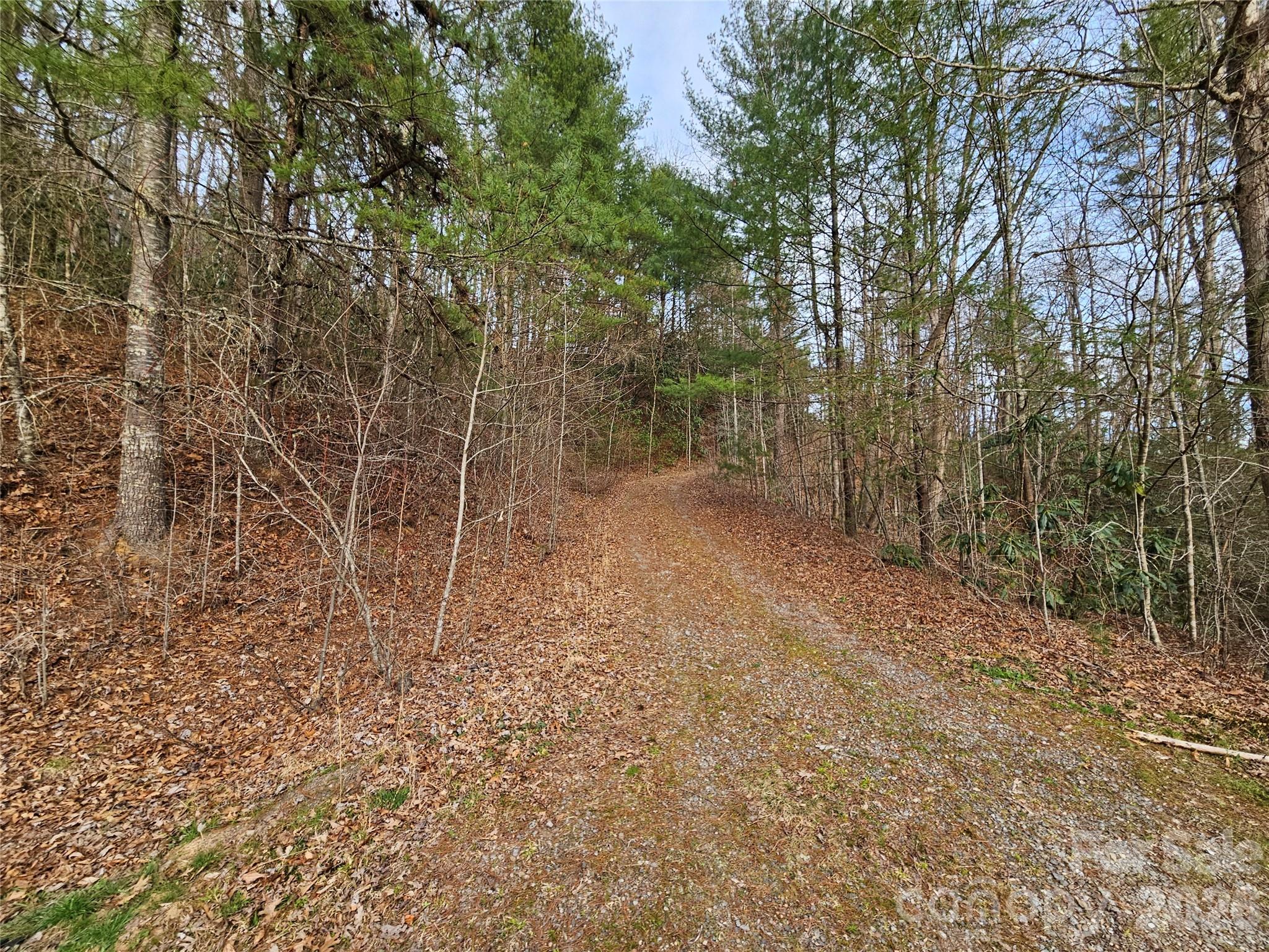 00 Wispy Willow Drive Waynesville NC 28785