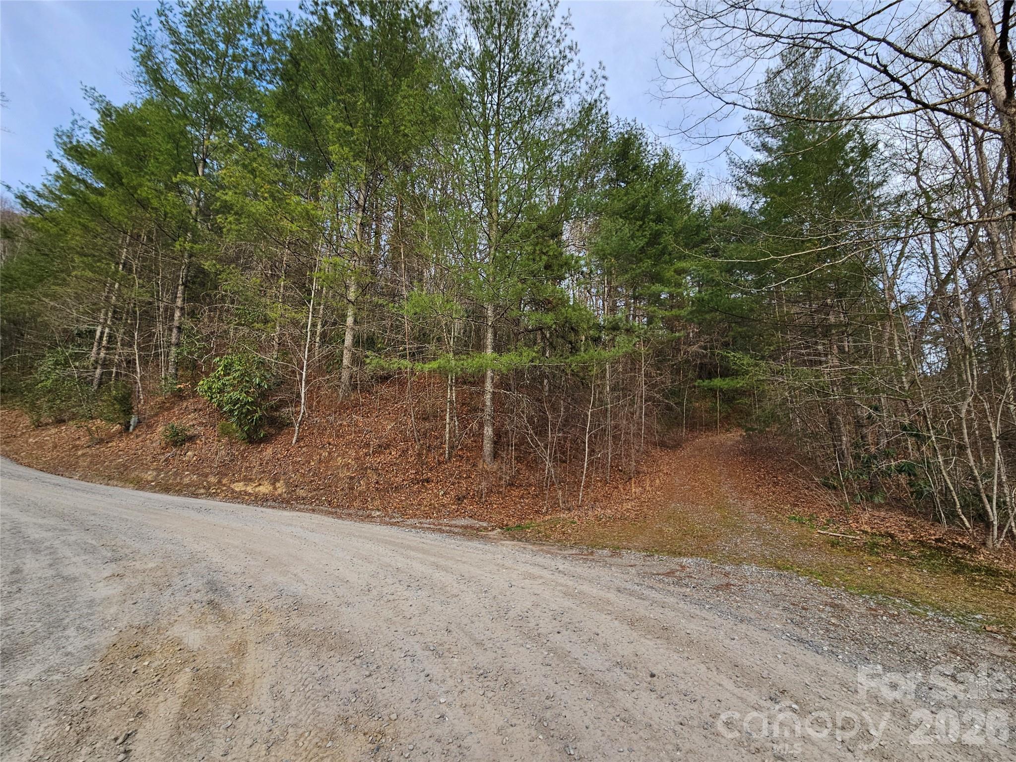 00 Wispy Willow Drive Waynesville NC 28785