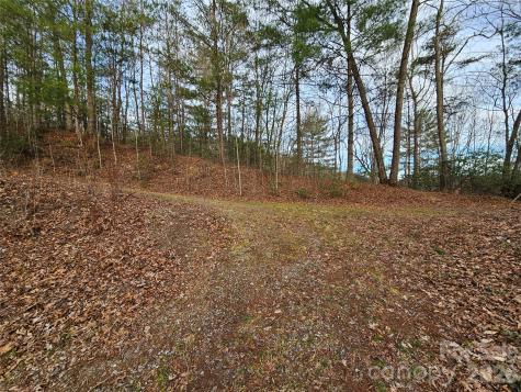 00 Wispy Willow Drive Waynesville NC 28785